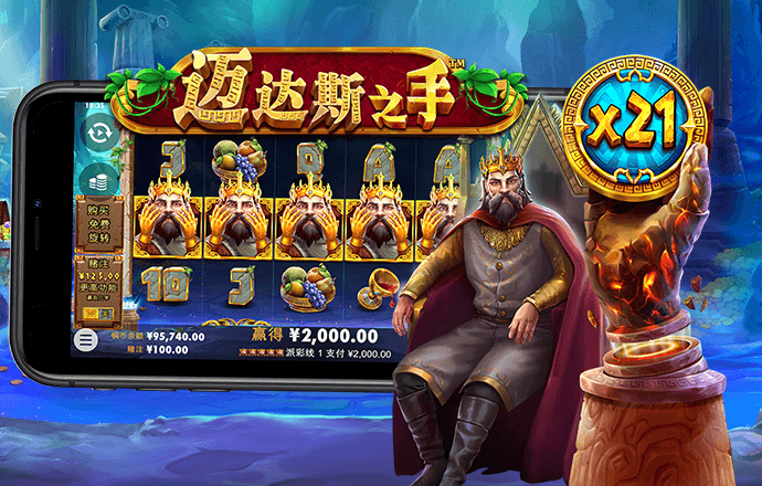 新澳门王中王资料公开